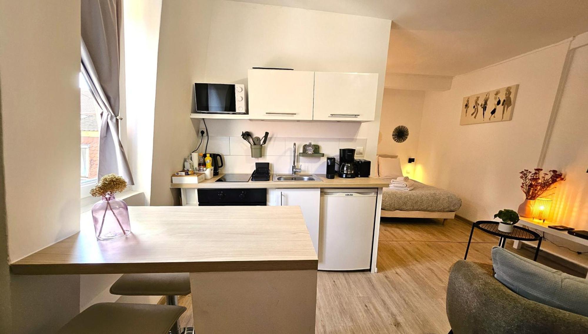 Apartment Studio- Hyper Centre Colmar
