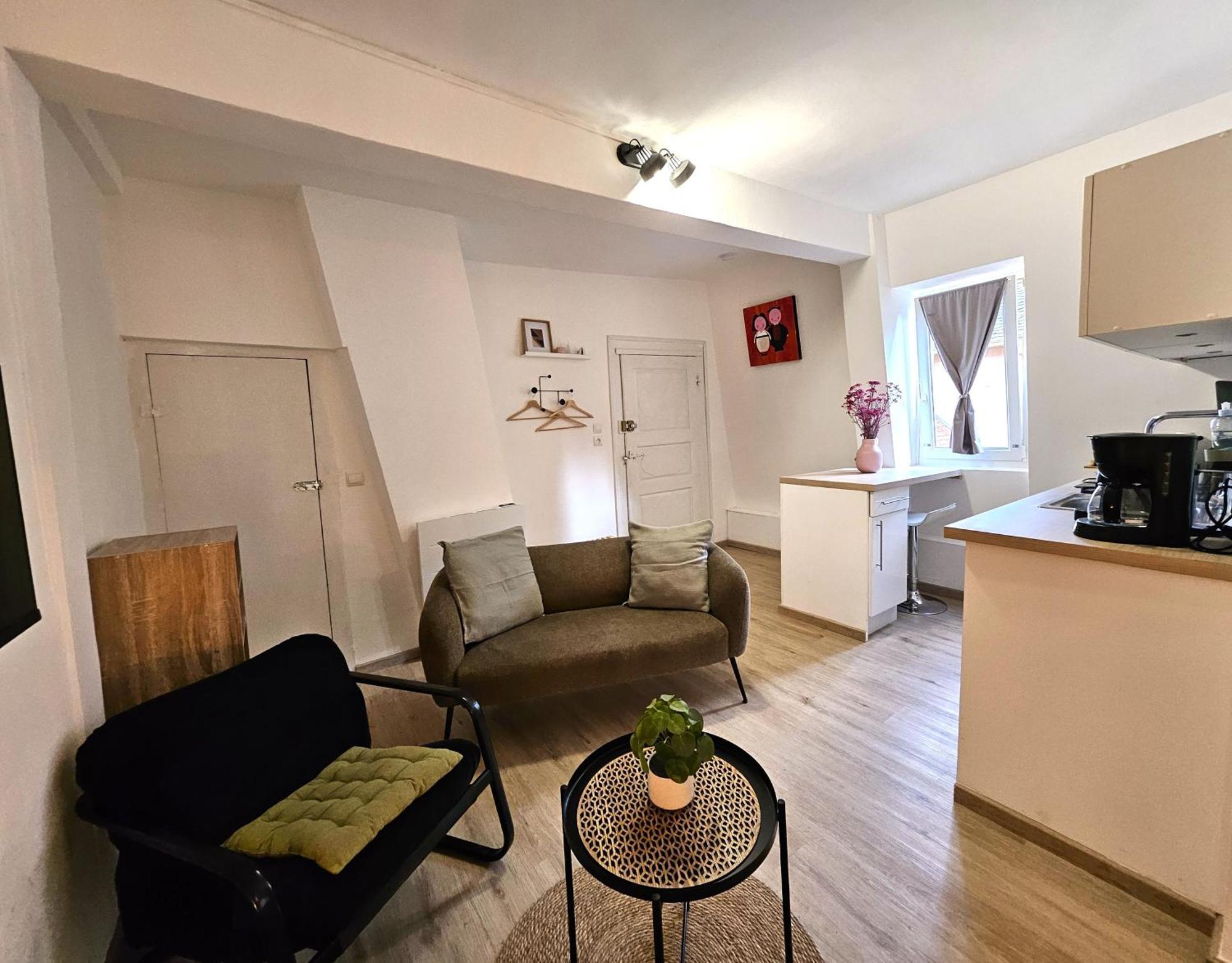 Apartment Studio- Hyper Centre *
