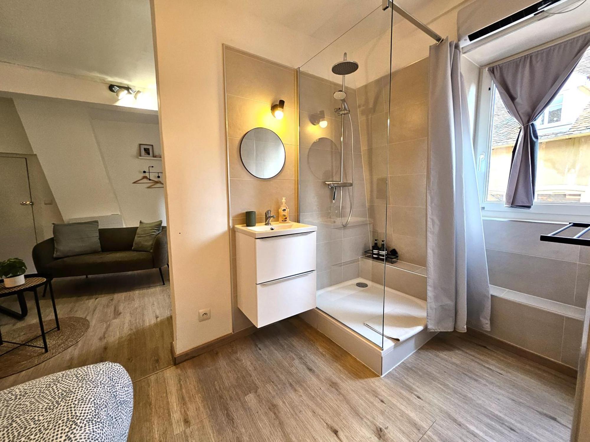 Studio- Hyper Centre Colmar