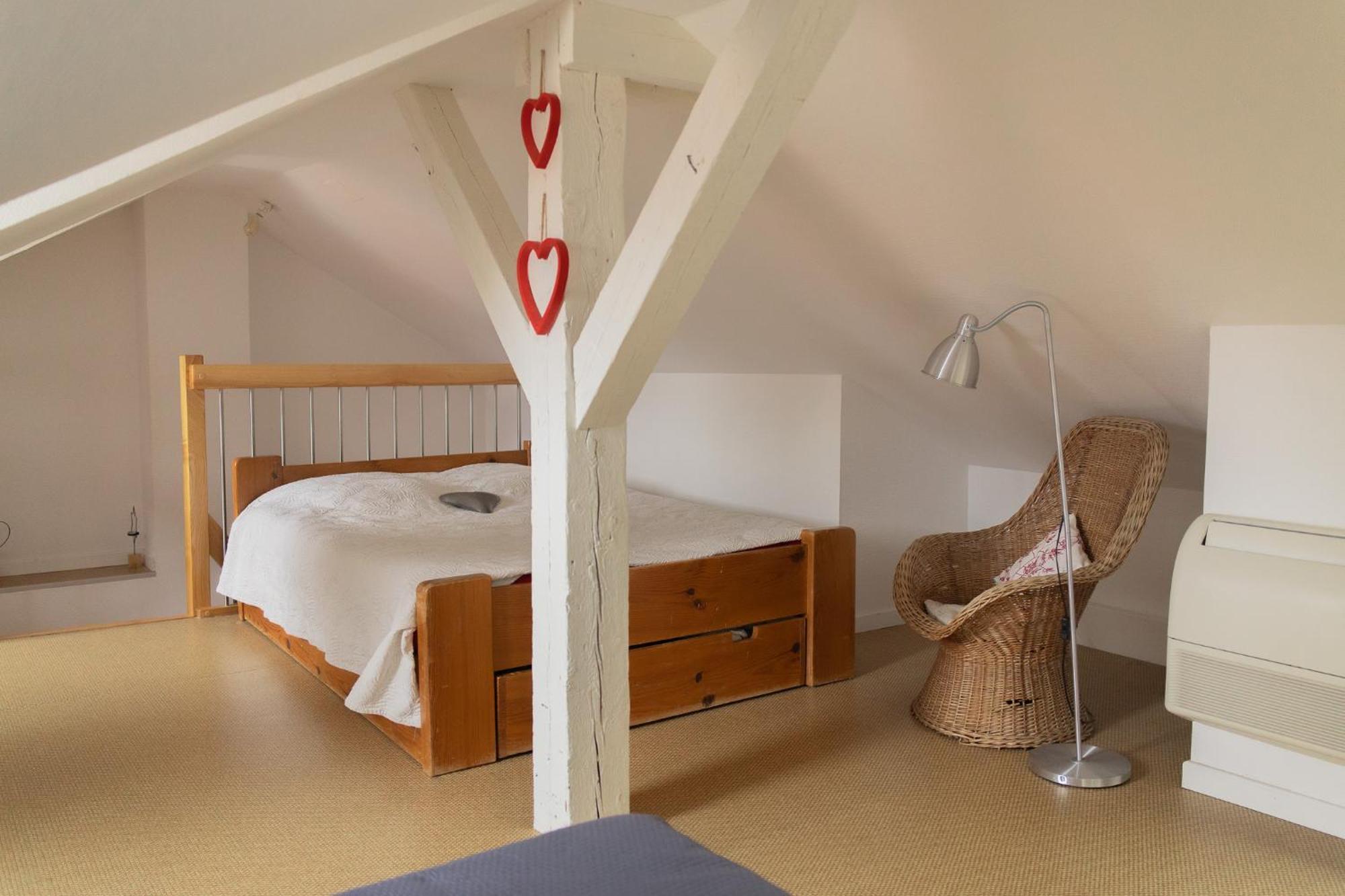 Center Duplex Loft Colmar
