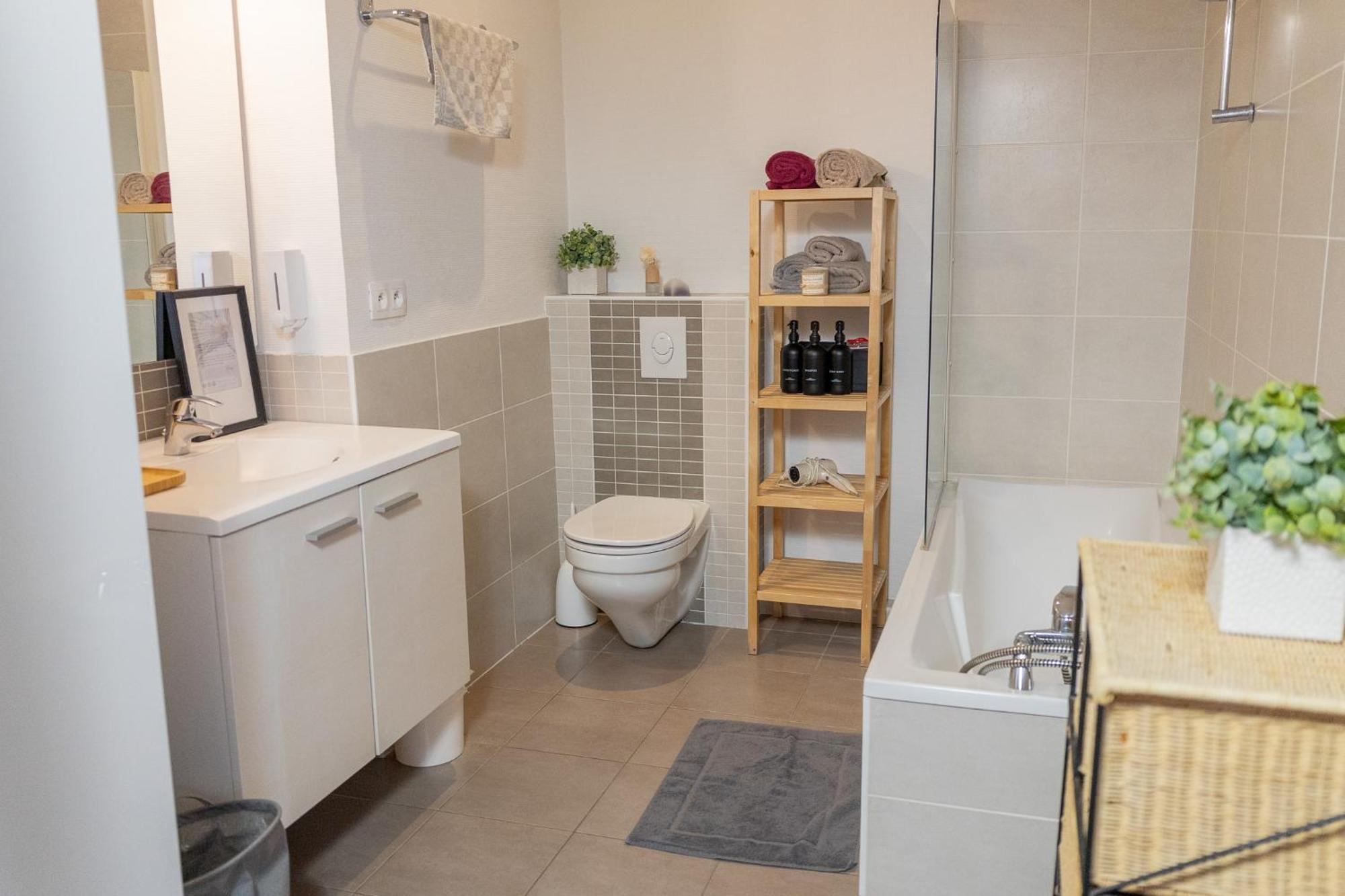 Appartement Center Duplex Loft Colmar