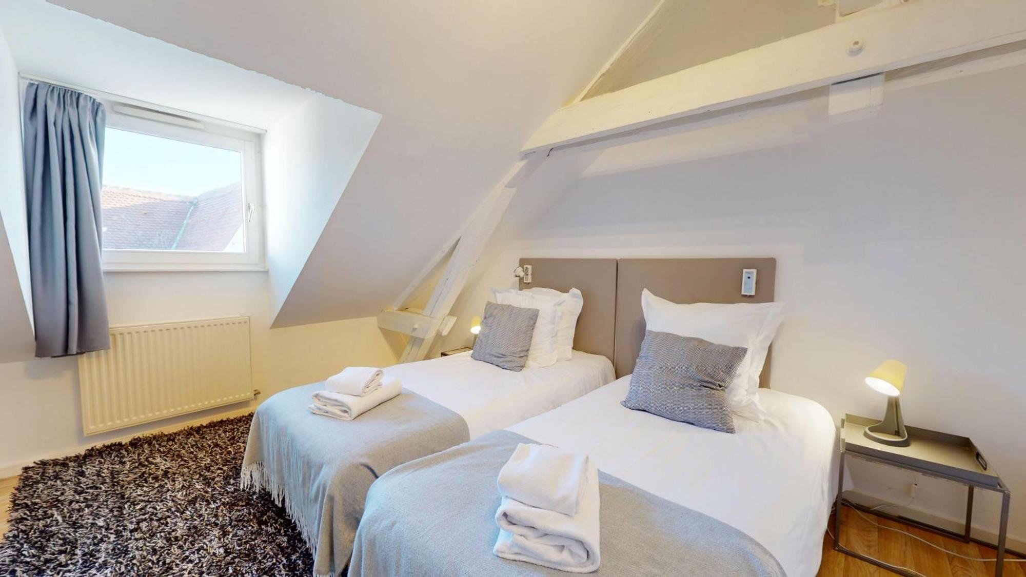 Colmarappart Rue Des Clefs Apartment *