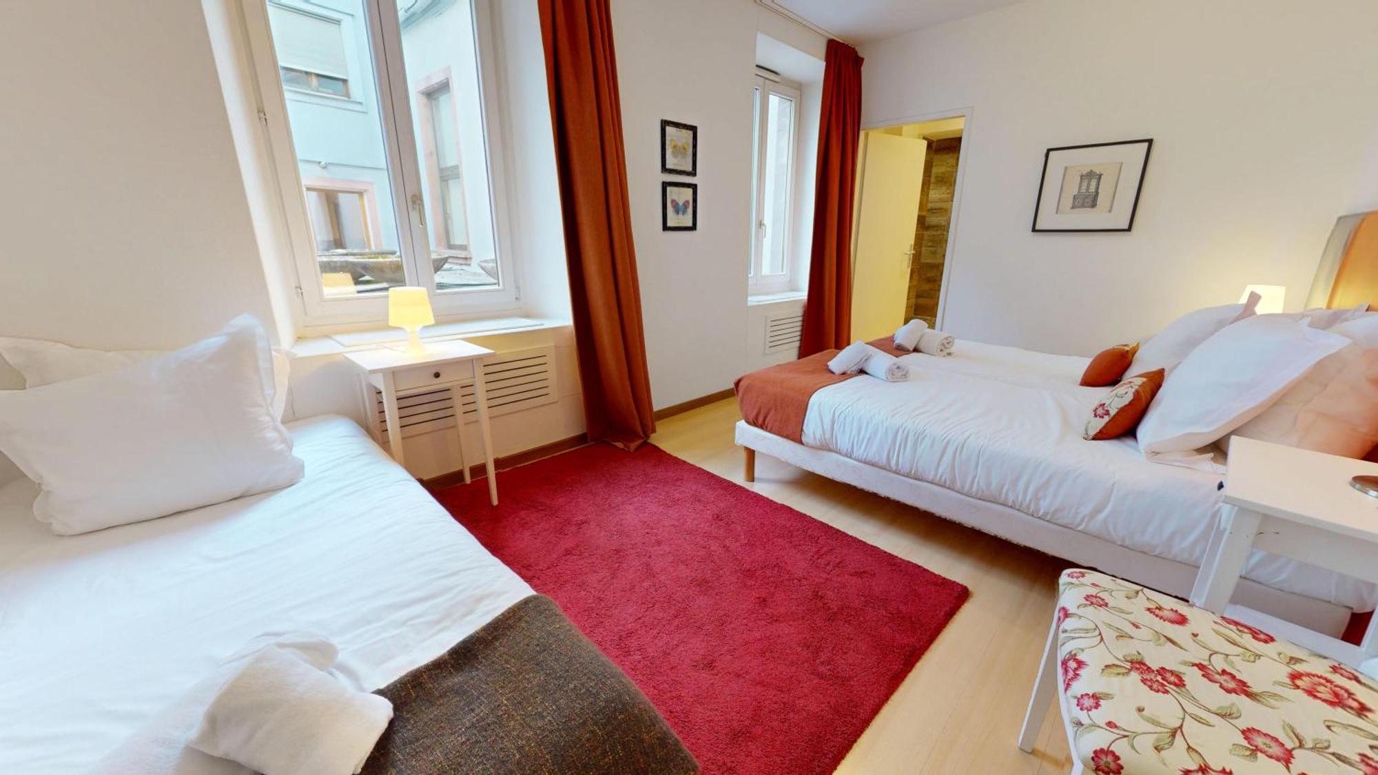 Colmarappart Rue Des Clefs Apartment