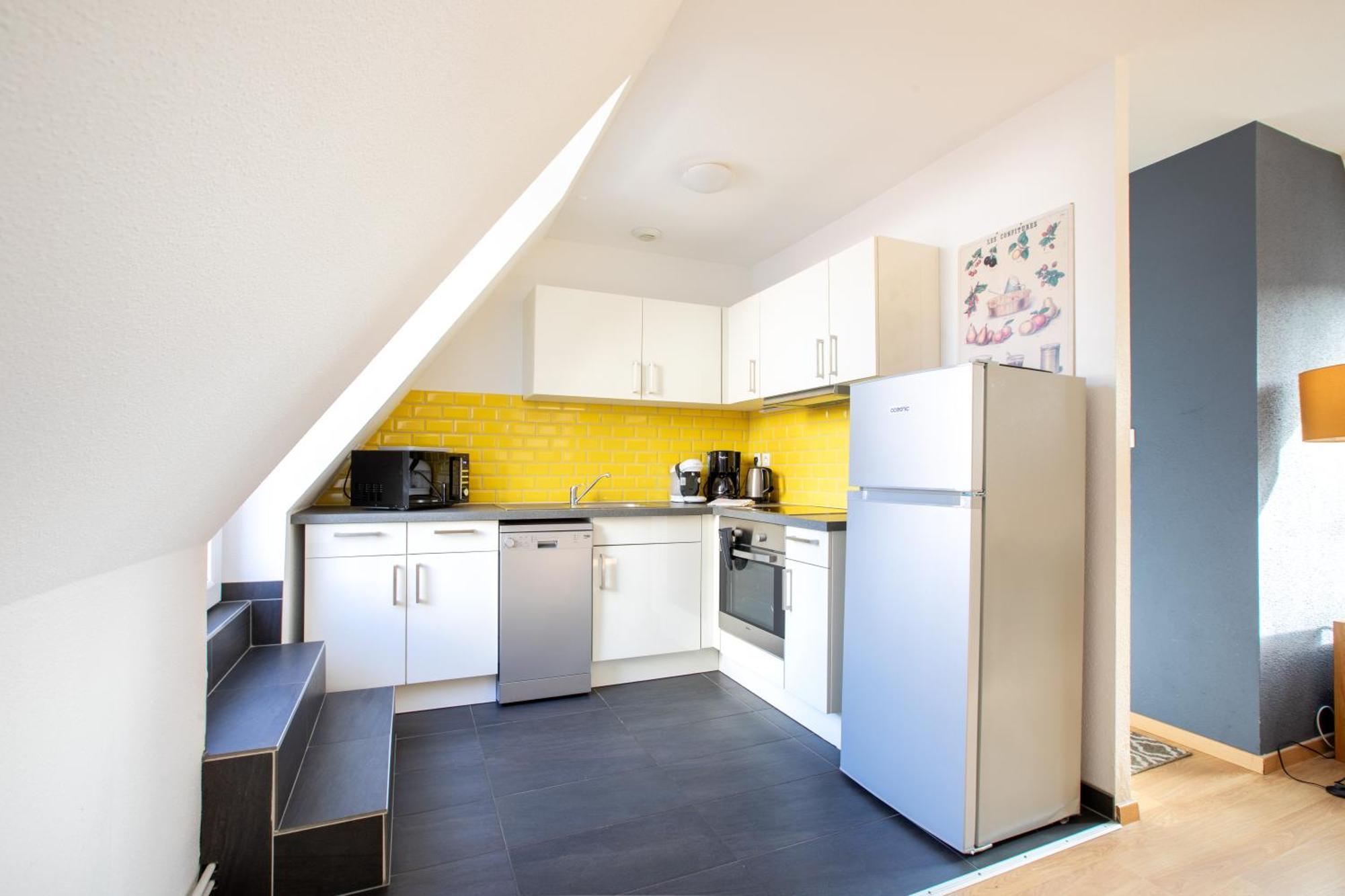 Appartement Schongauer Hypercentre Avec Garage à Colmar