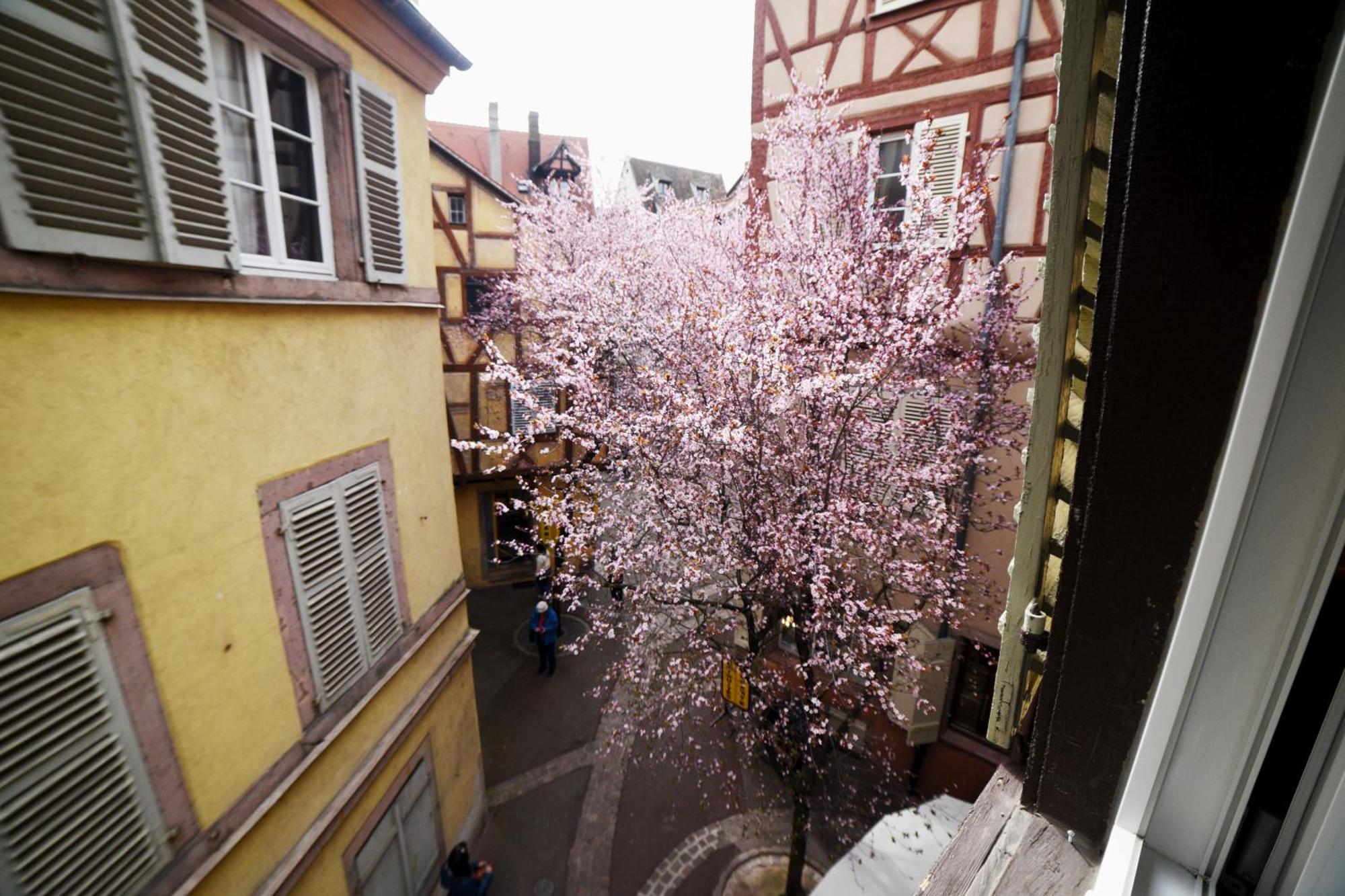 Bim Maidala Appartement Colmar