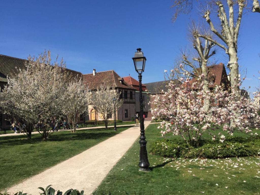 La Provence Appartement Colmar