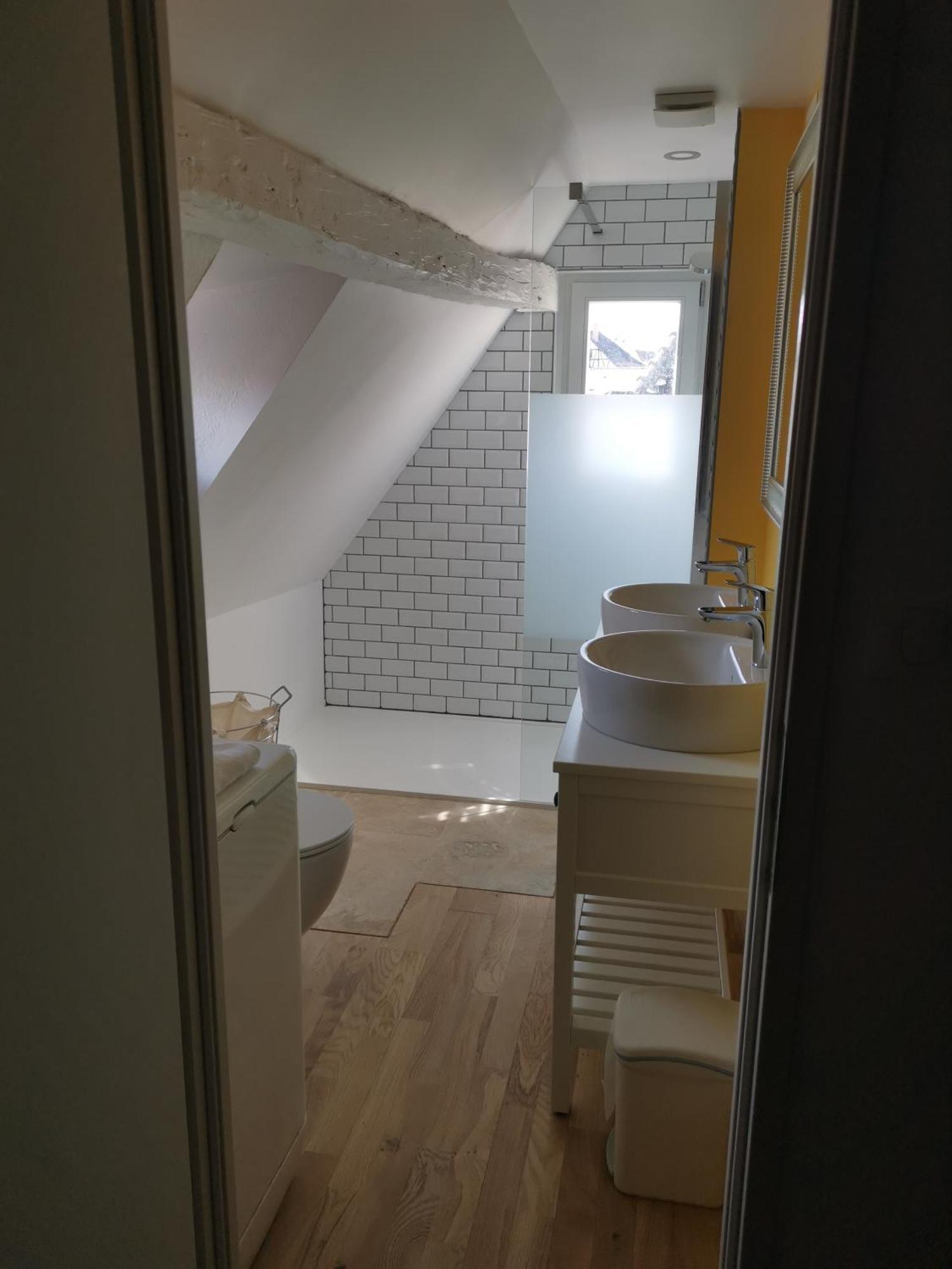 La Grande Ourse Appartement Colmar