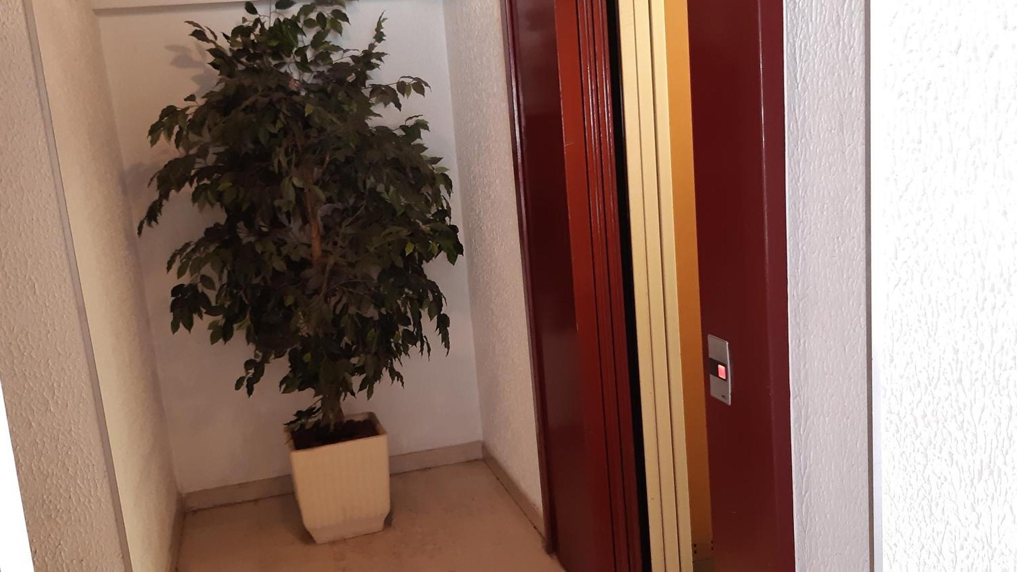 Klipfel Little Venice Apartment Colmar