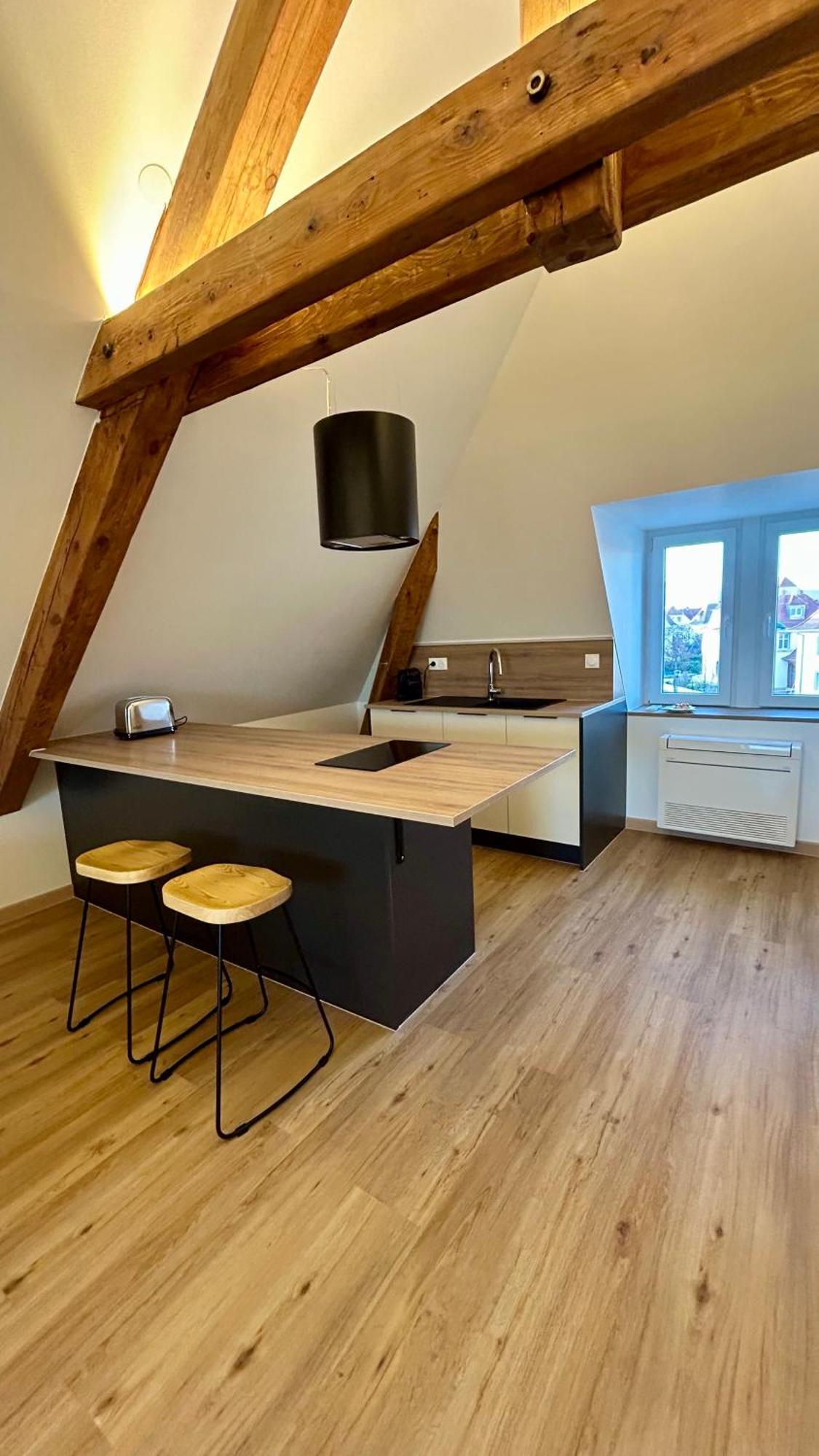 Moderne Et Spacieux, A 10 Min De La Gare * Colmar