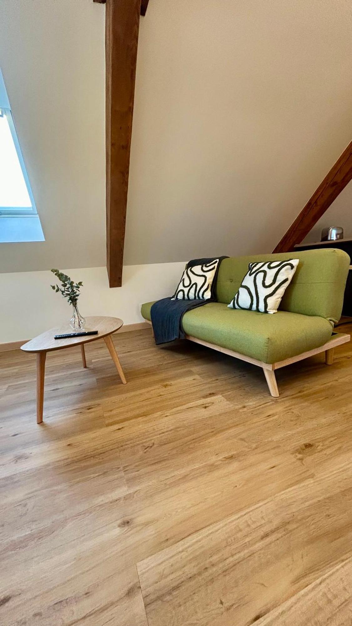 Moderne Et Spacieux, A 10 Min De La Gare Appartement Colmar