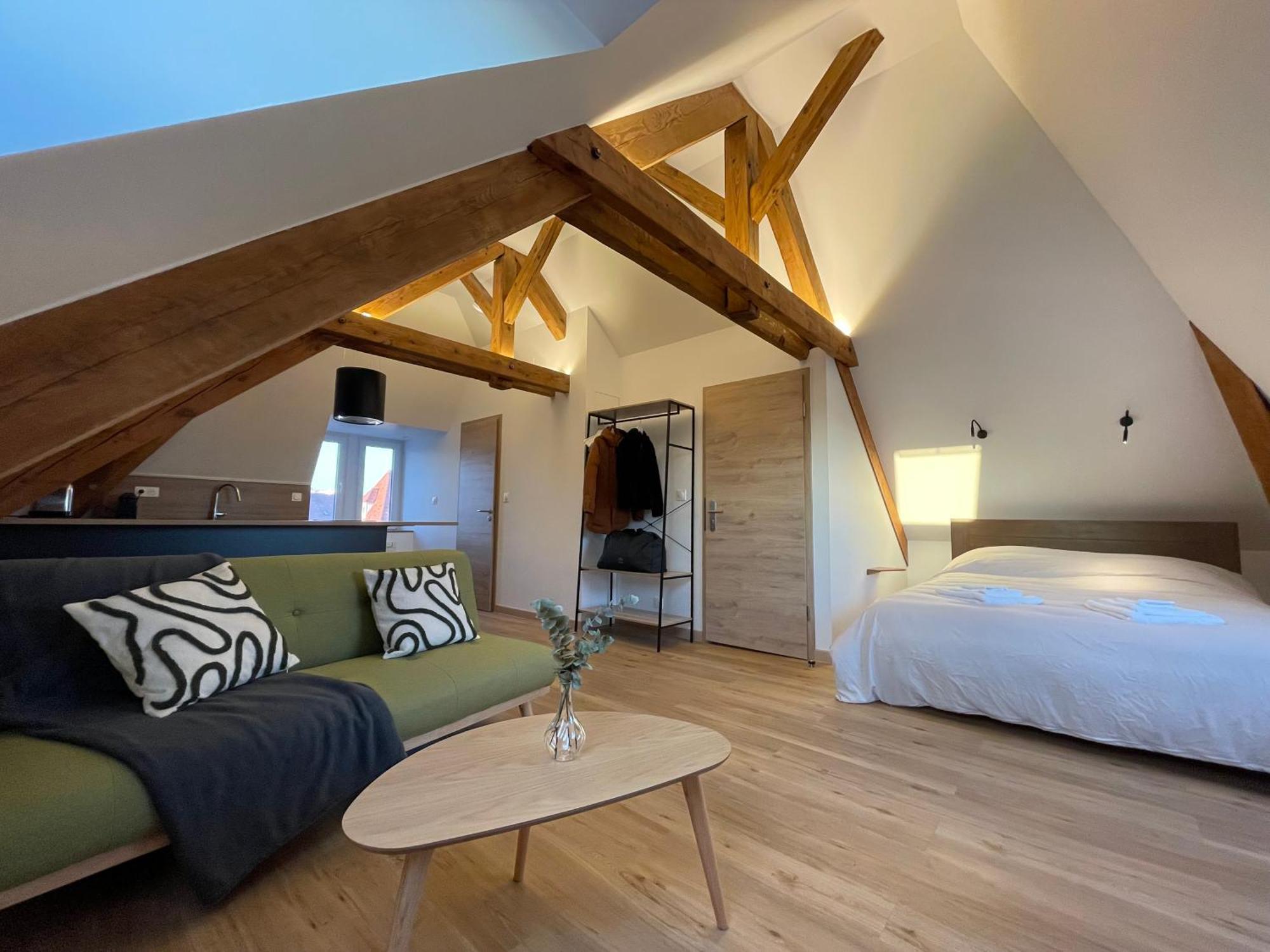 Appartement Moderne Et Spacieux, A 10 Min De La Gare Colmar
