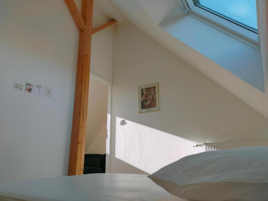 Guest house Des 3 Cigognes Colmar