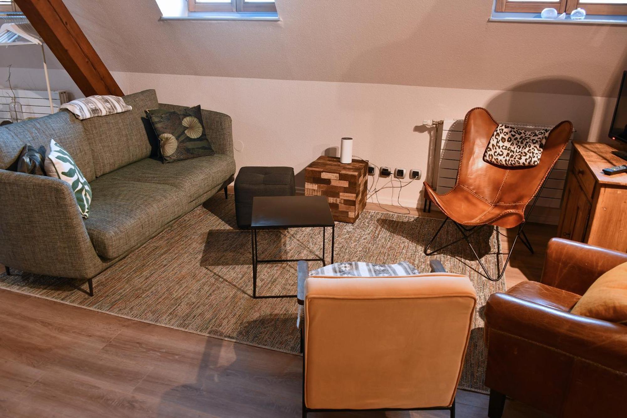 Beraweka Avec Climatisation Et Salle De Sport Appartement Colmar