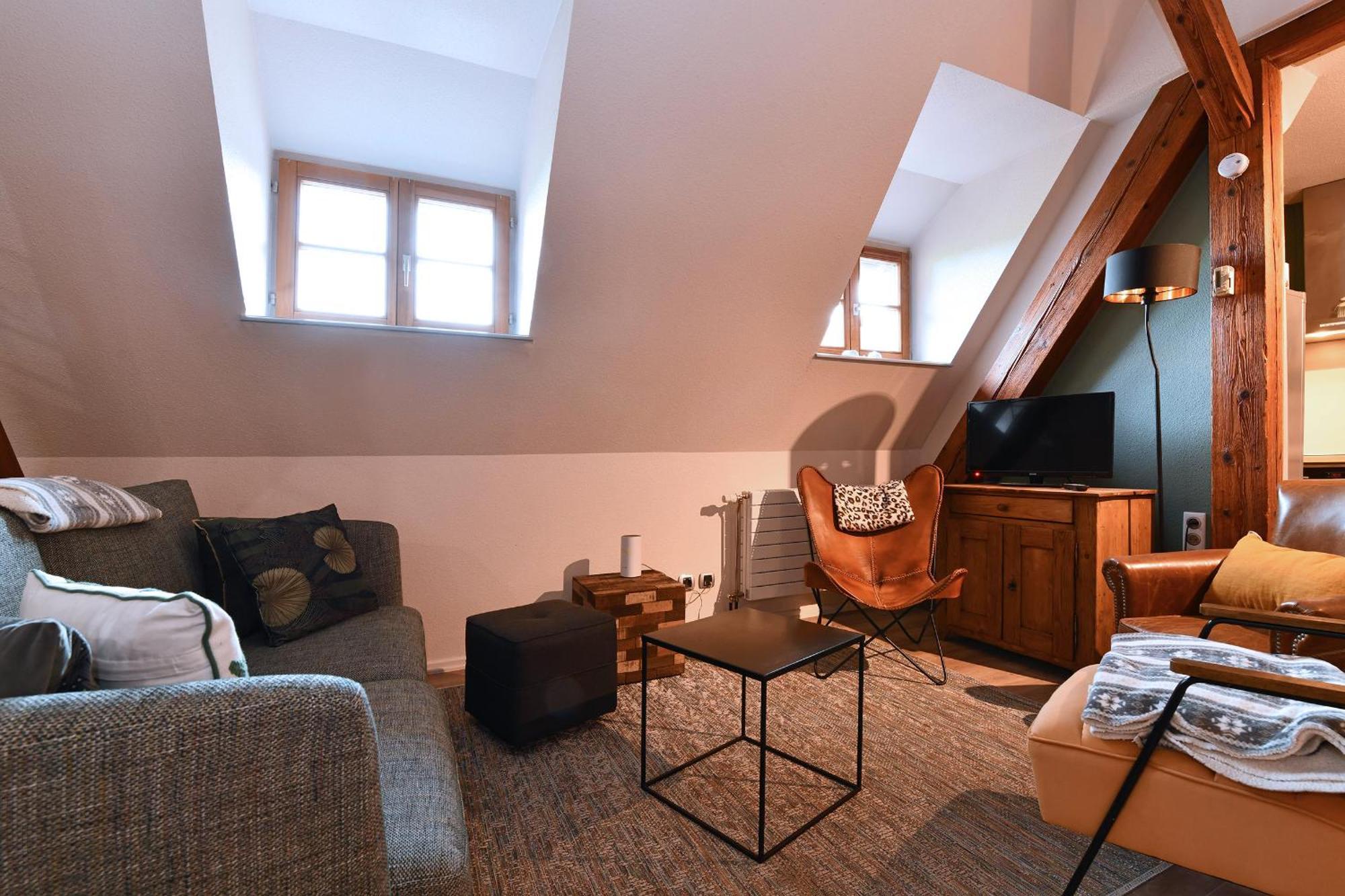 Apartment Beraweka Avec Climatisation Et Salle De Sport Colmar