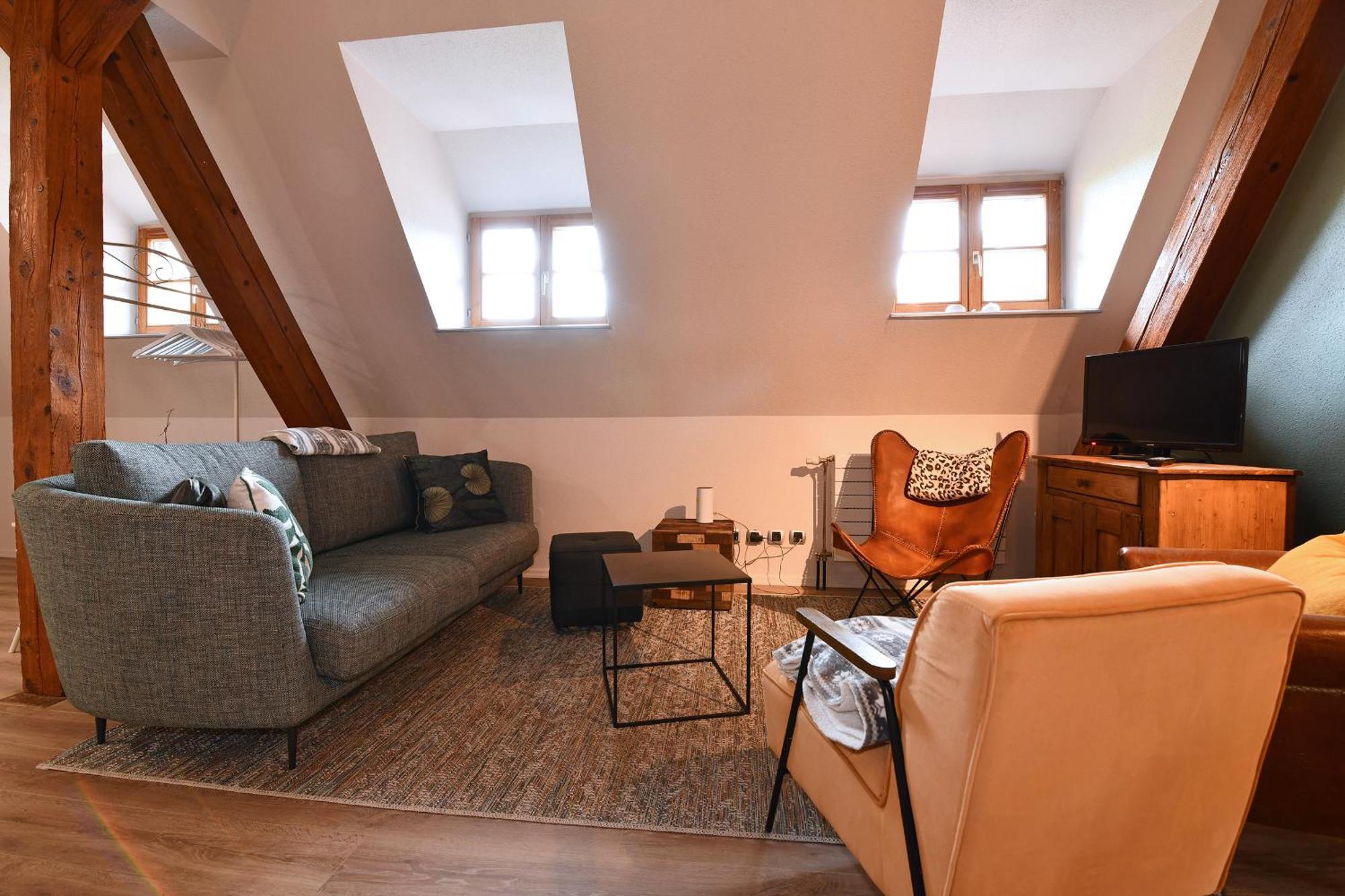 Beraweka Avec Climatisation Et Salle De Sport Apartment Colmar