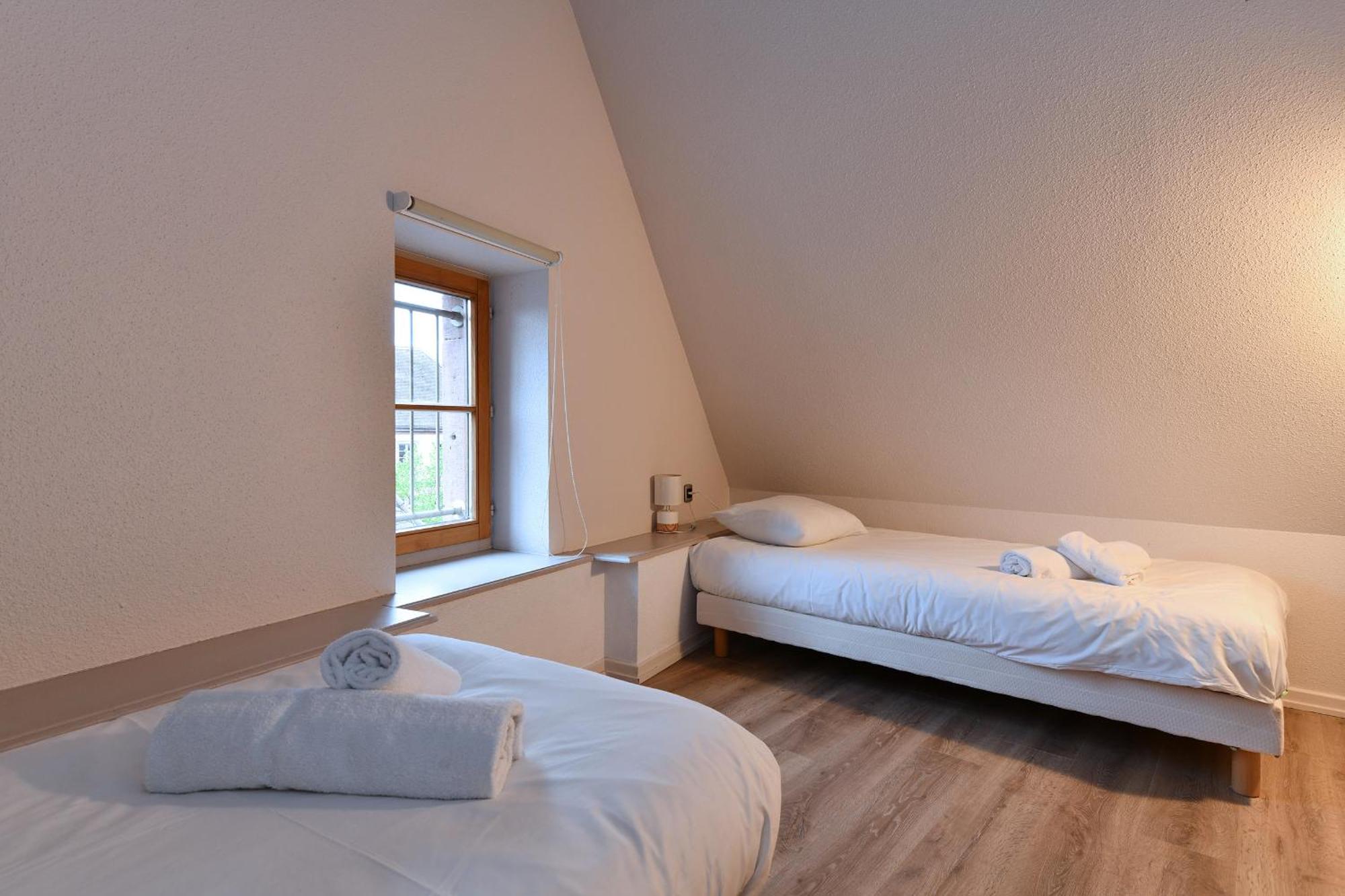 Beraweka Avec Climatisation Et Salle De Sport Appartement Colmar