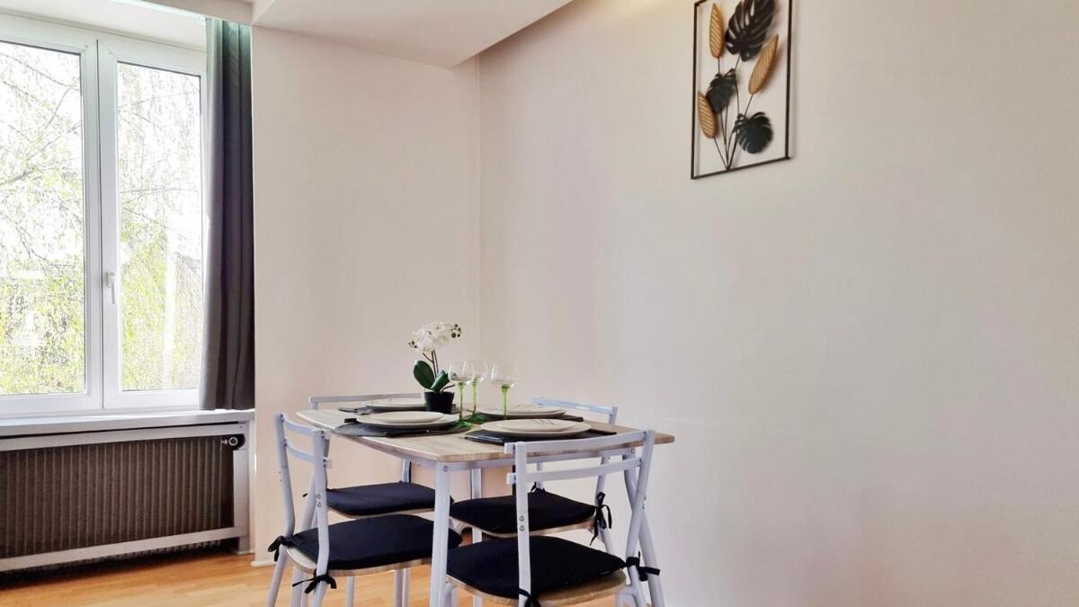 Loft Lumineux Pres Du Port Du Canal Colmar