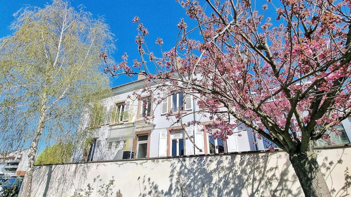 Appartement Loft Lumineux Pres Du Port Du Canal Colmar