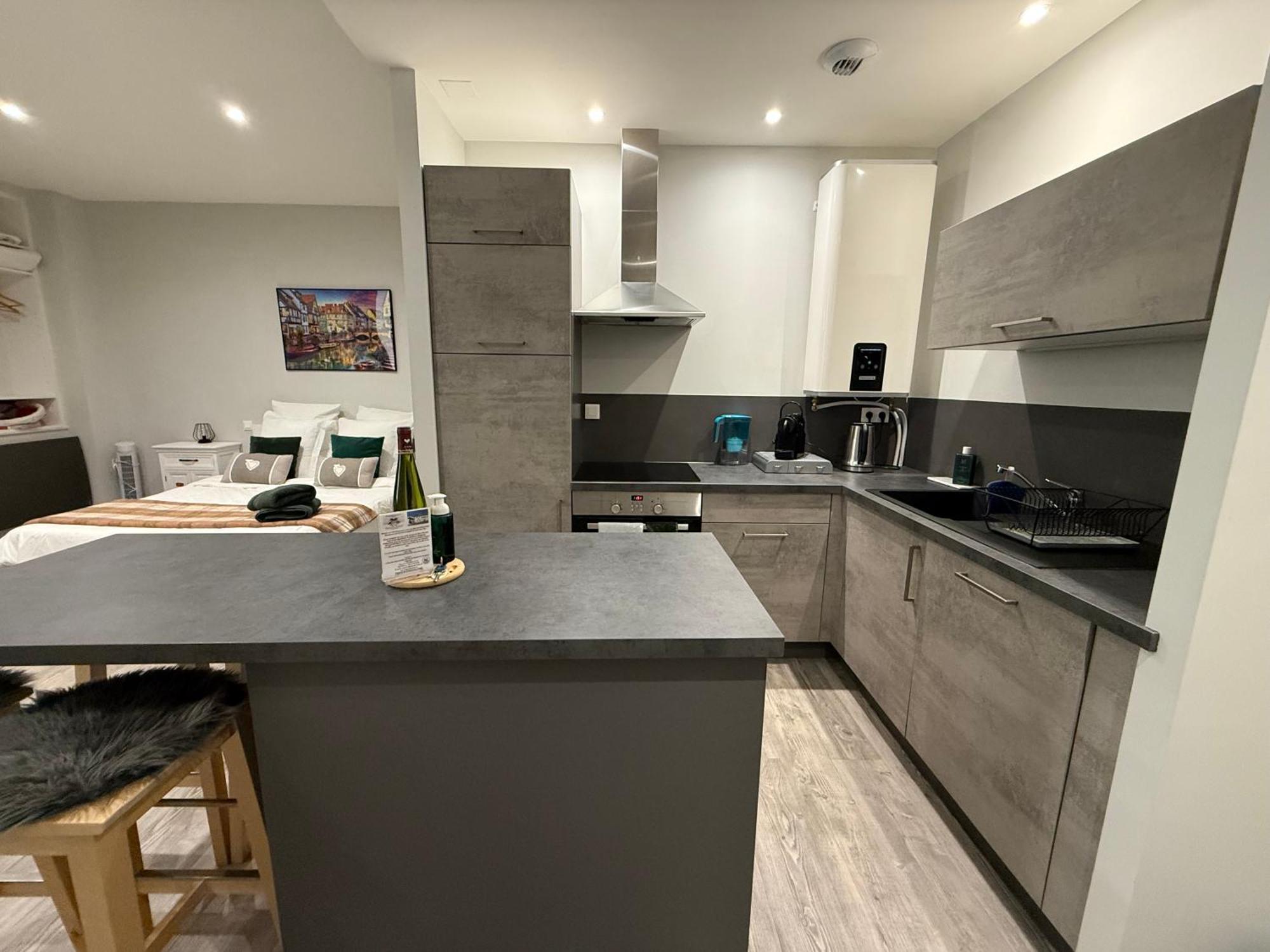 Le Muscat Appartement Colmar