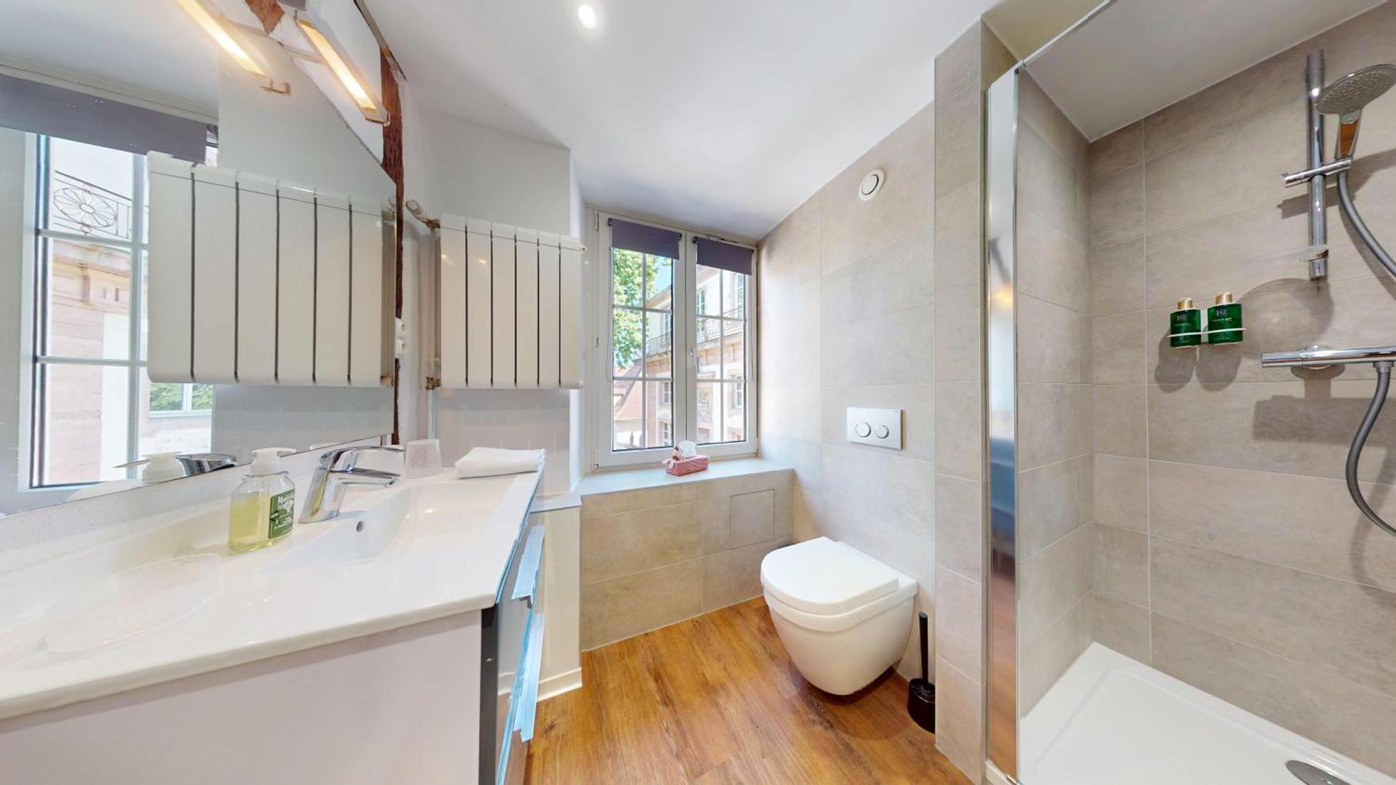 Le Clos Bartholdi Appartement Colmar