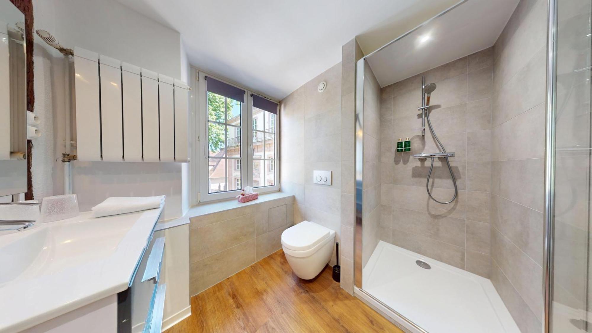 Appartement Le Clos Bartholdi Colmar