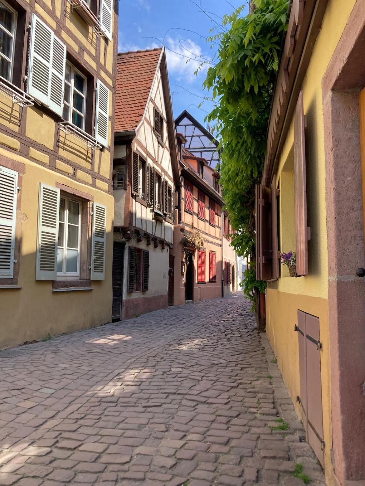 Appartement Bienvenue à Ecureuil dans le Centre Historique de Colmar