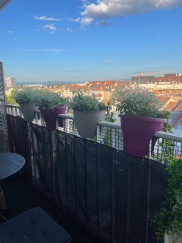 Le Coeur De Colmar - Parking & Clim Appartement