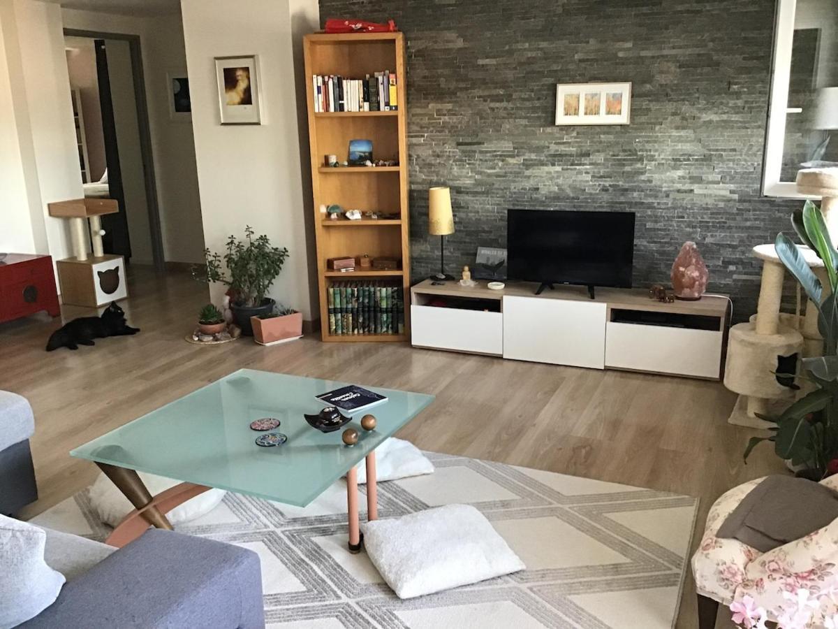Appartement Le Coeur De Colmar - Parking & Clim *