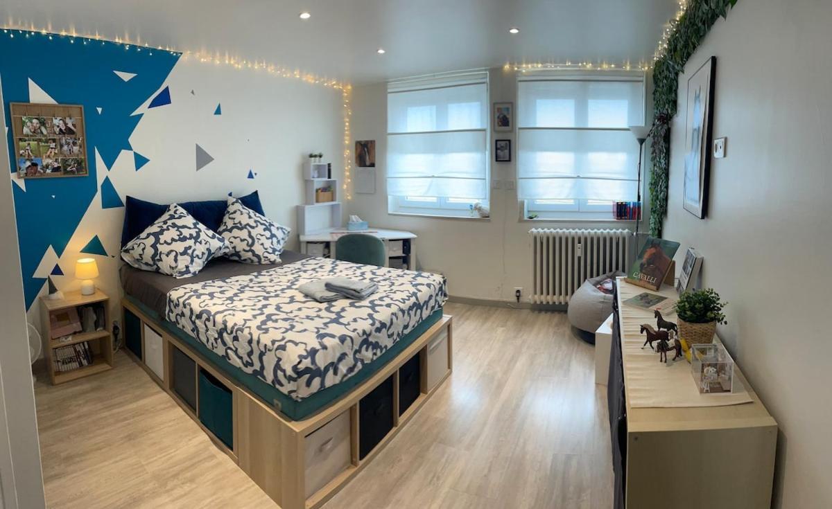 Appartement Le Coeur De Colmar - Parking & Clim Colmar