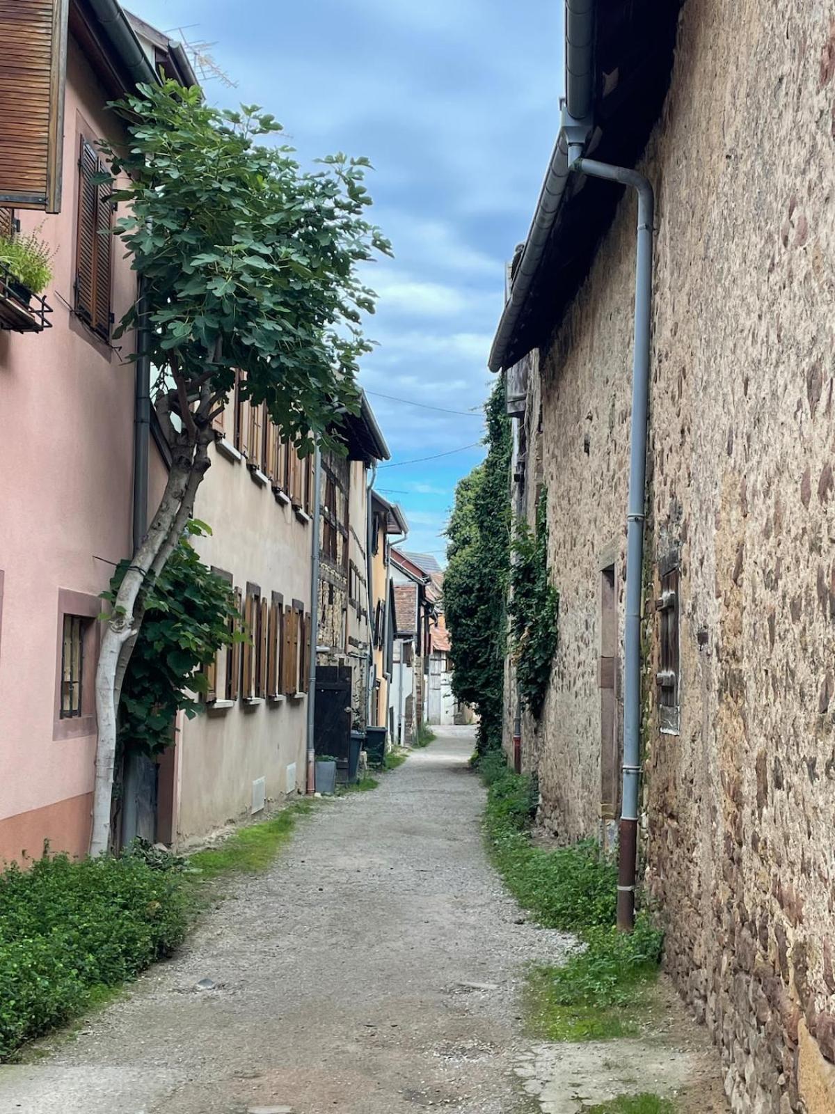 Le Coeur De Colmar - Parking & Clim Appartement Colmar