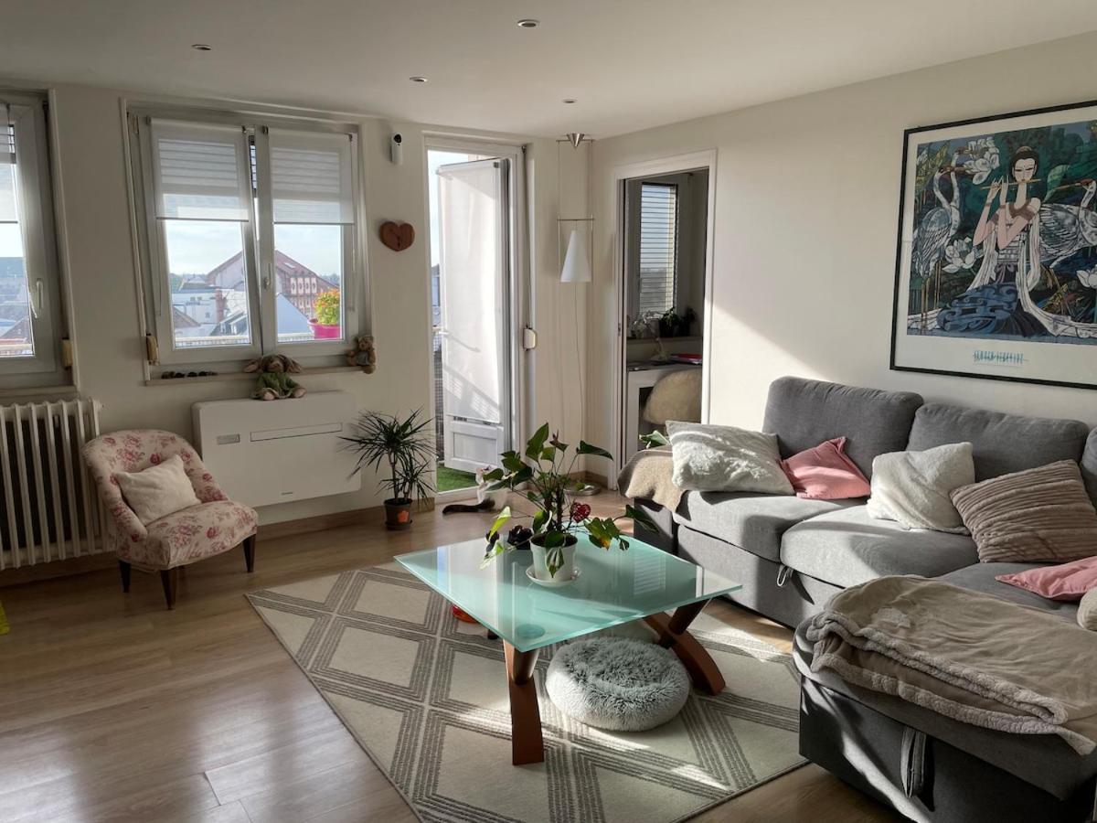 Appartement Le Coeur De Colmar - Parking & Clim