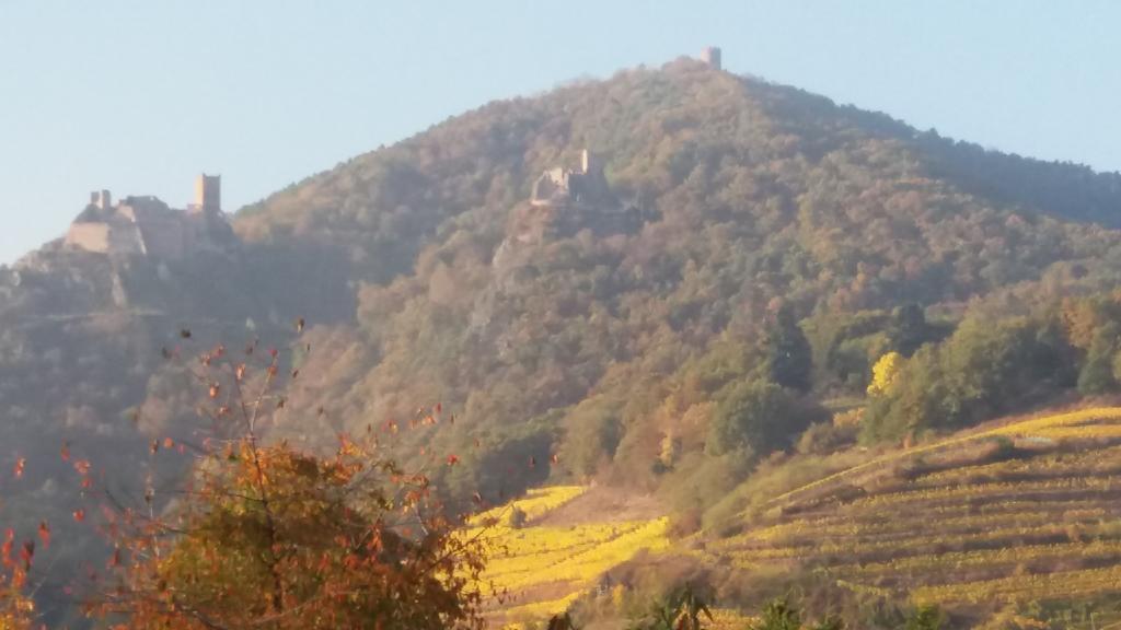 Au Coeur D'alsace