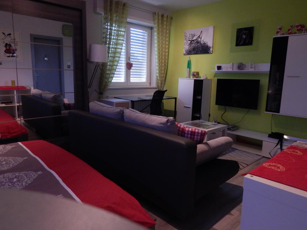 Au Coeur D'alsace Apartment