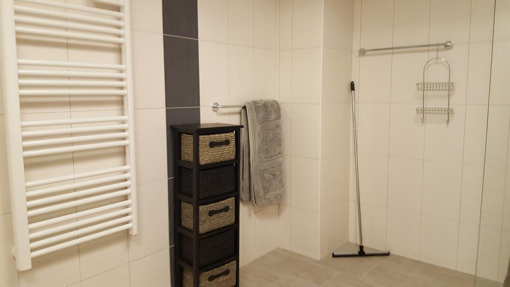 Appartement Grand Format Colmar
