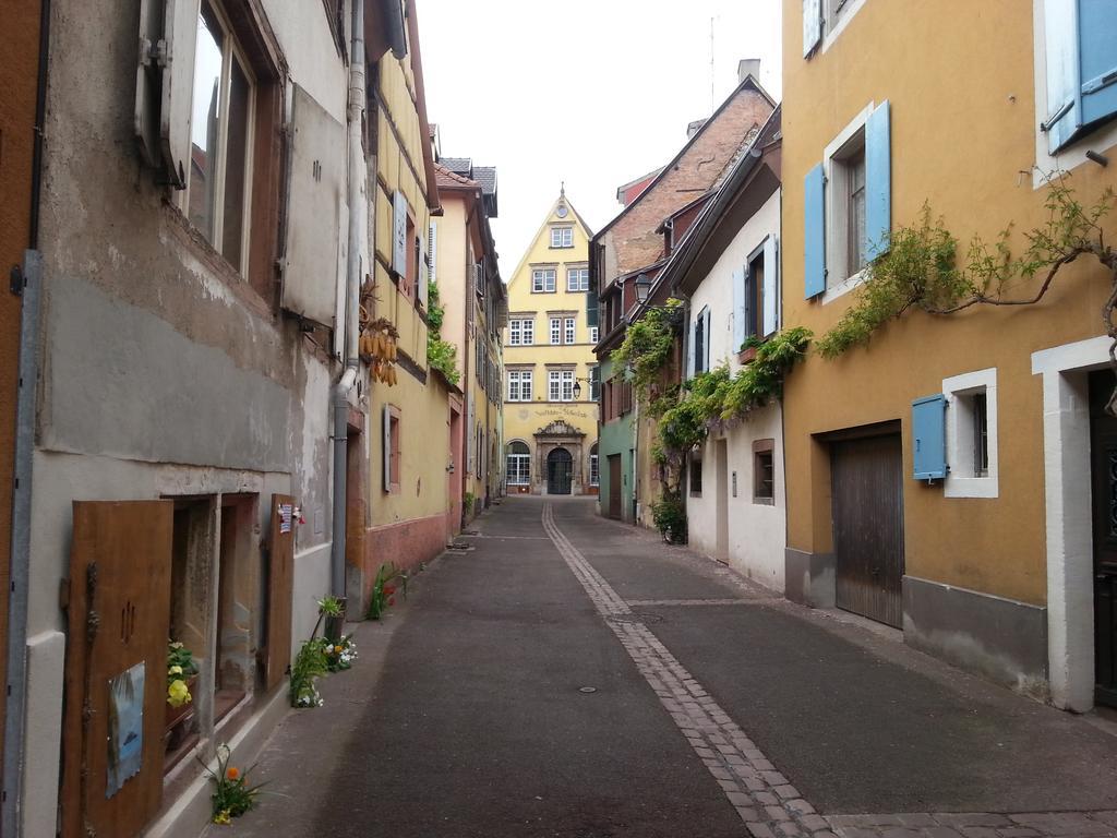 L'ours De - En Centre Colmar