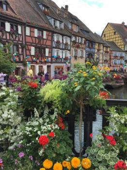 Apartment Les De Petite Venise