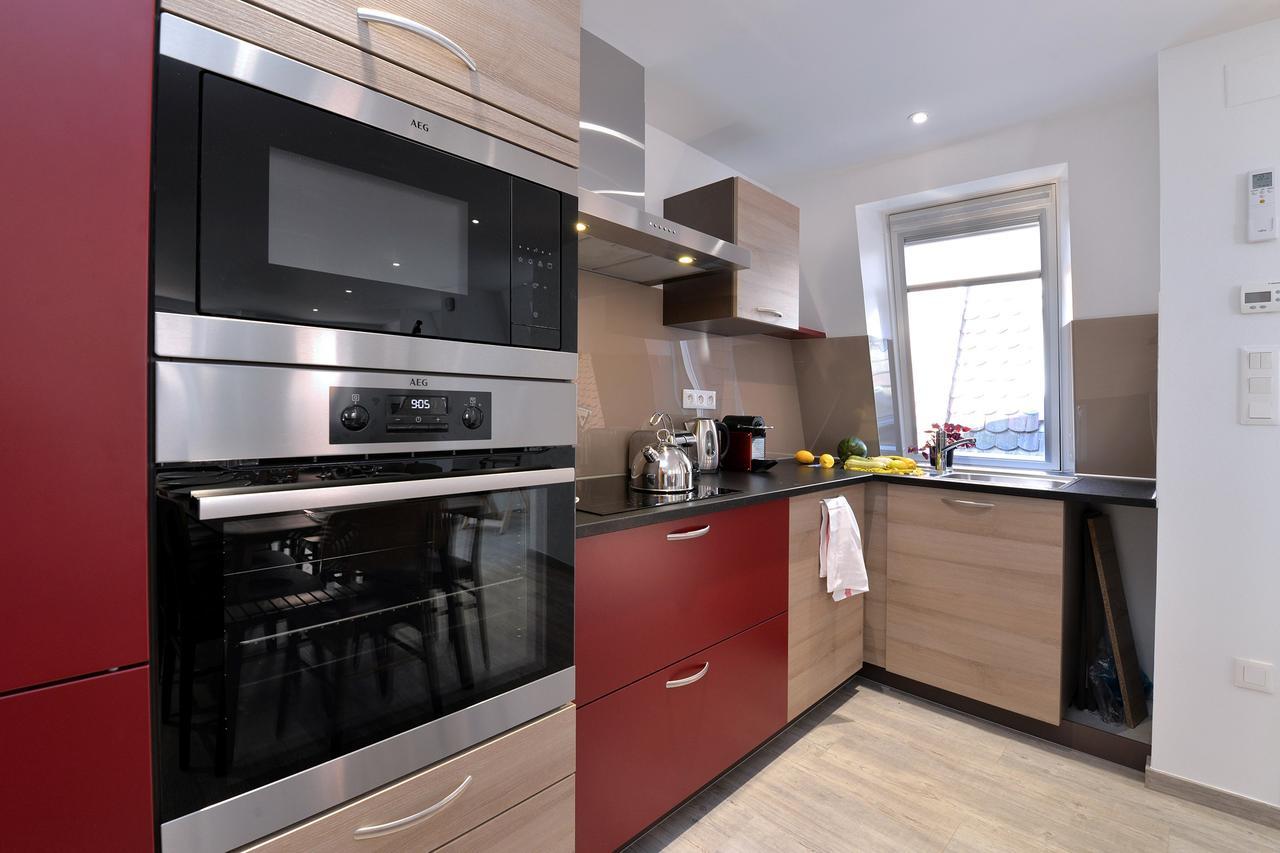 Les Du Cygne Apartment Colmar