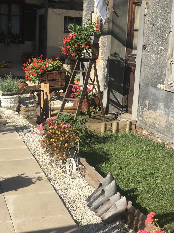 Maison Avec Terrasse Centre