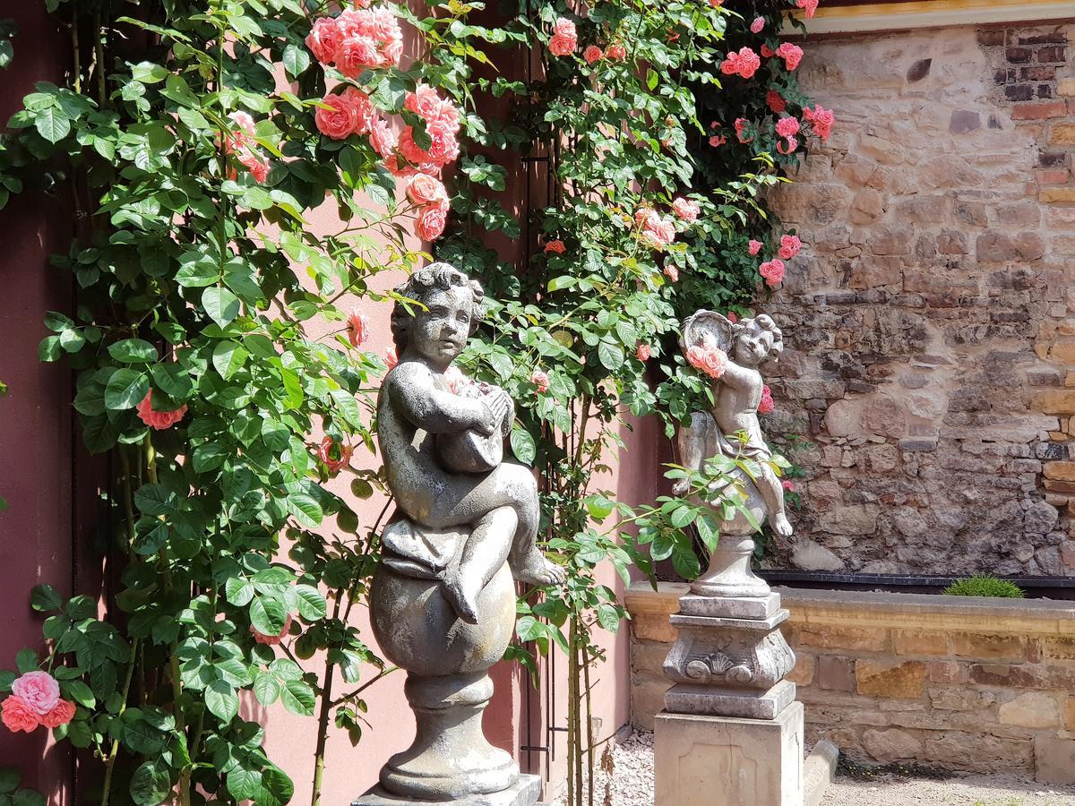 Apartment Le 1615 - Luxe Et Colmar