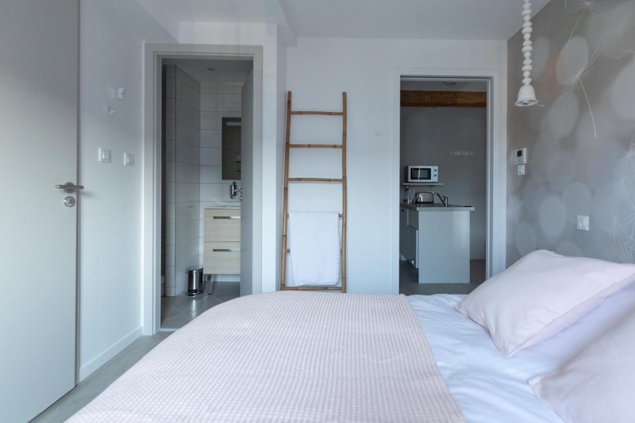 Apartment 1834&spa Colmar