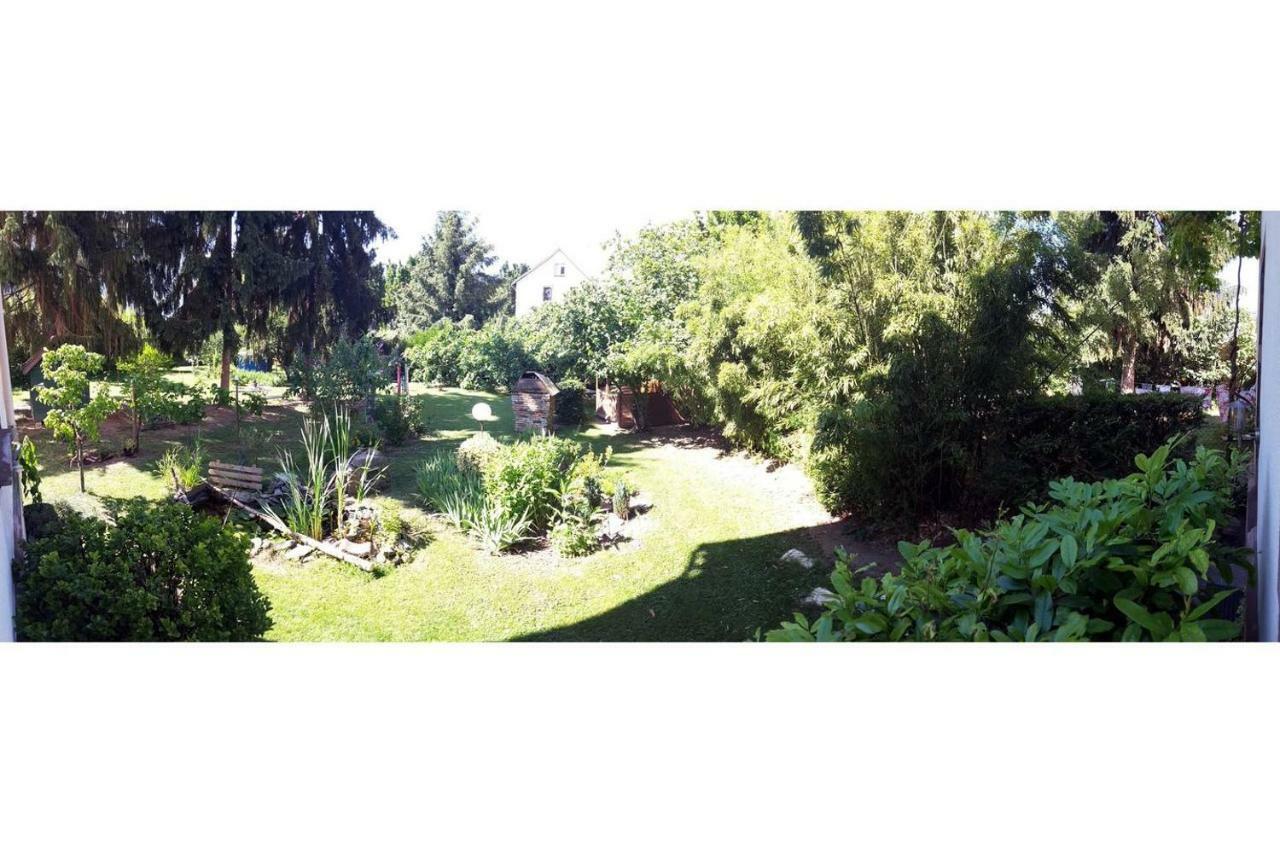 La Vie Est Belle Appartement Colmar