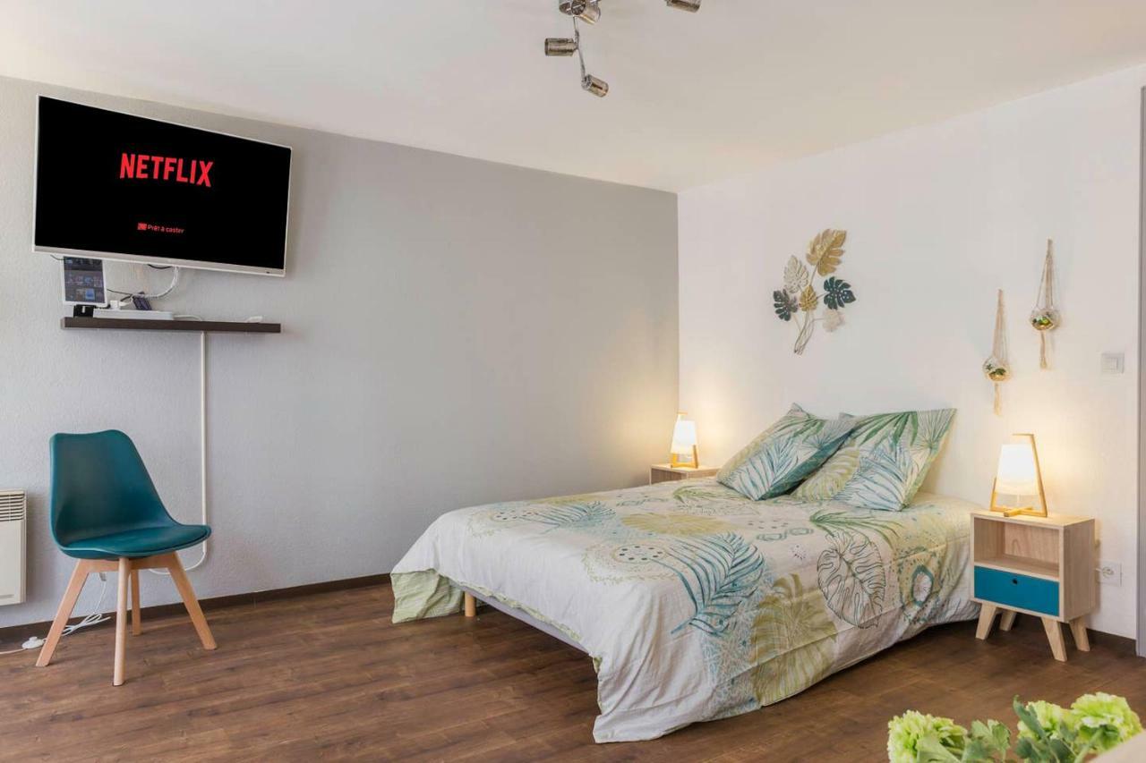 Appartement The Fleuret -top Location - Petite Venise Colmar