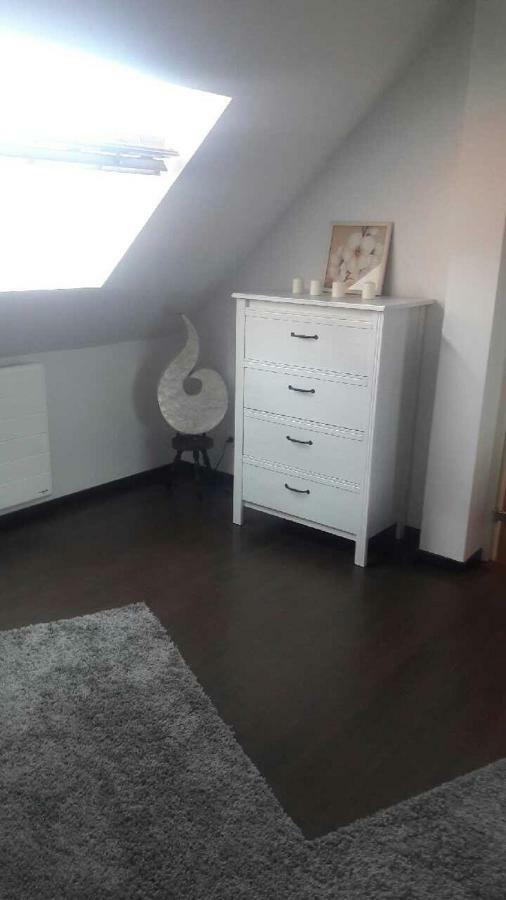 Appartement Avec Garage Centre Historique Colmar