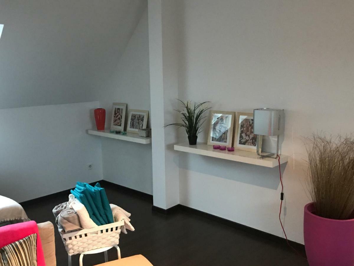 Appartement Avec Garage Centre Historique Colmar