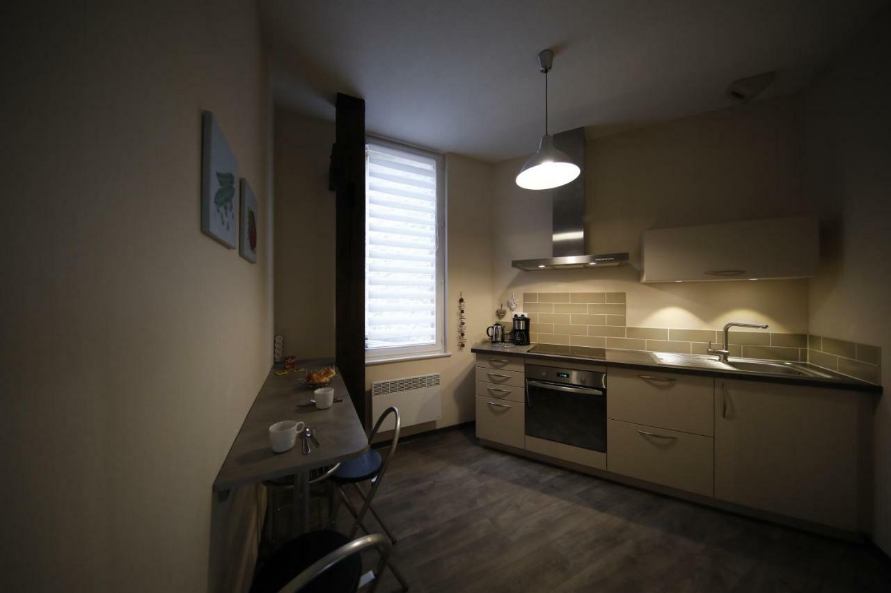 Appartement Le Rohan Centre Colmar