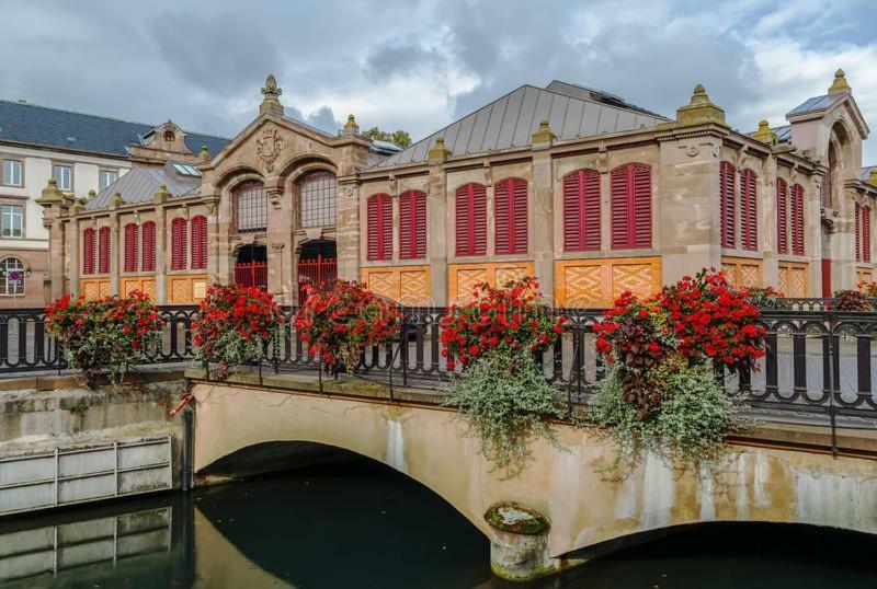 Appartement Margot - Hyper Centre Colmar