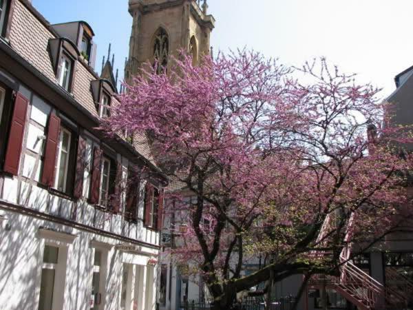 Chez Pauline * Colmar