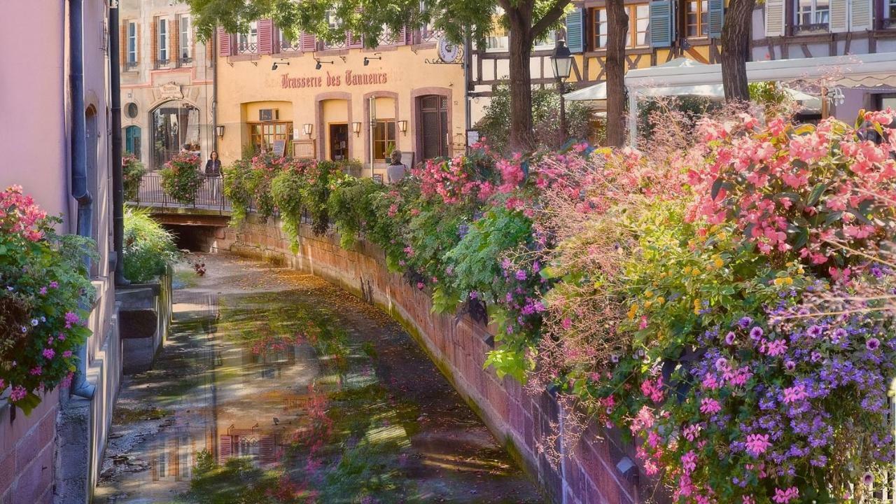 Residences Du Theatre * Colmar