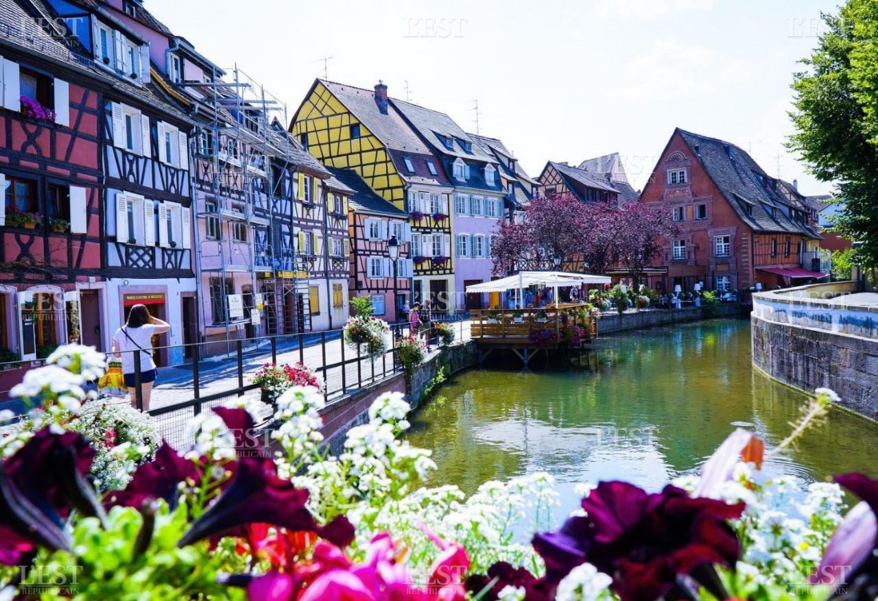 Residences Du Theatre Appartement Colmar