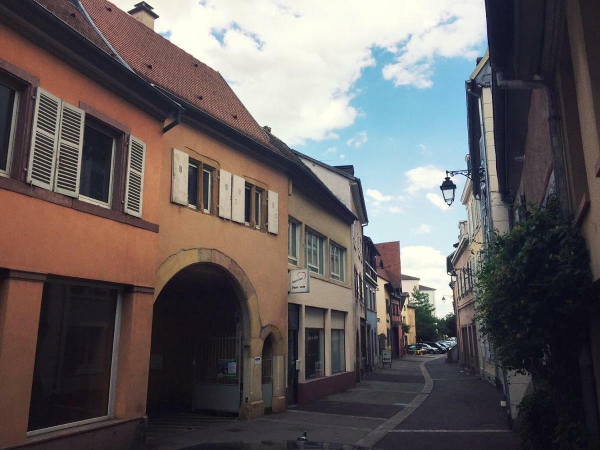 Appartement L'ours Colmar